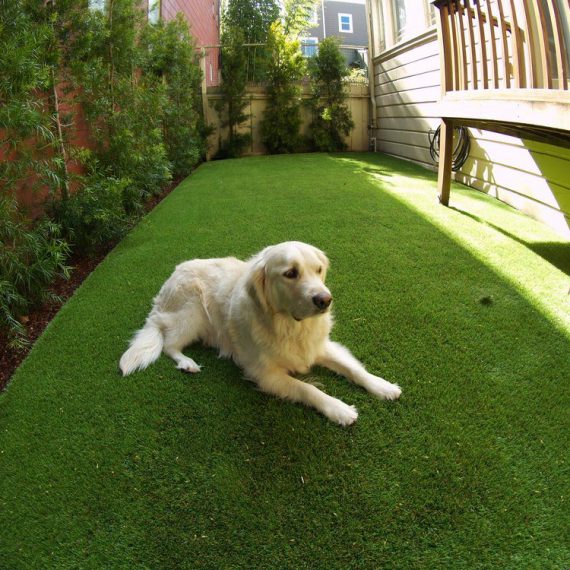 Artificial grass installed for a dog run area