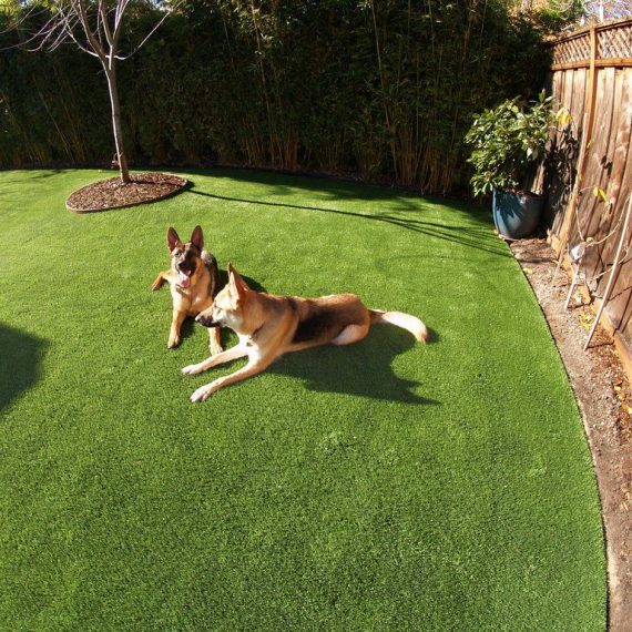 Artificial grass installed for a dog run area in a backyard