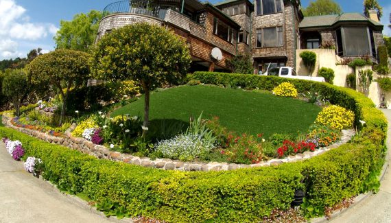 Artificial lawn surrounded by colorful landscape