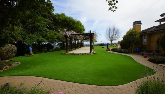 Artificial lawn with a pergola in the middle