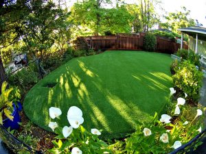 Artificial lawn with drainage system surrounded by landscape
