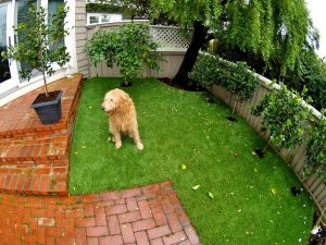 Artificial synthetic dog run area installed in a backyard