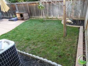 Backyard with a concrete patio (before)