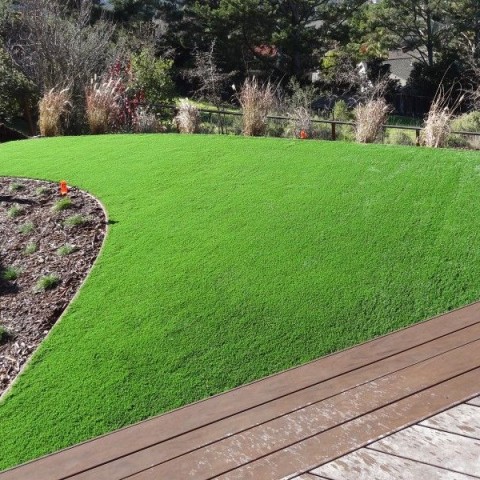 Odd shape lawn in the backyard in Novato, California