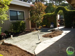 Artificial turf & sod in a backyard in Bay Area (before)