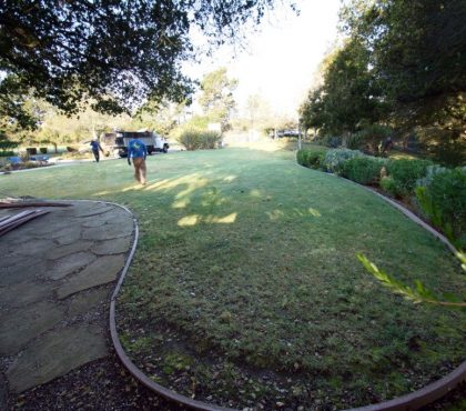 Synthetic-grass-gardens(1)