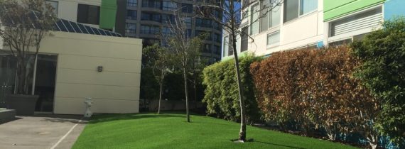 Artificial Grass for office buildings