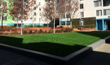 Artificial grass for corporate campuses