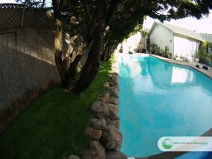 Artificial Grass Around Swimming Pools