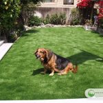 Artificial Grass Dog Run Installation
