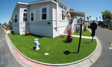 Artificial Grass Contractors and Installers in San Francisco, CA