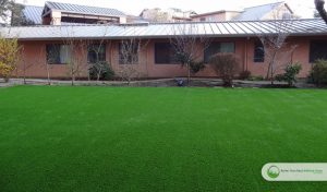 Synthetic grass commercial application