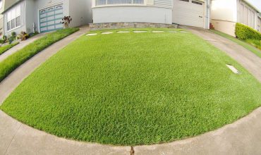 Why choose our artificial grass?