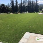 Artificial Grass Installation in Palo Alto