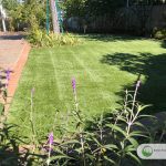 Artificial grass for multiuse playground area in Fairfax, California