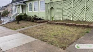 Front yard artificial grass installation in San Francisco - Before