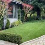 5 Facts You Need To Know Before Buying An Artificial Turf