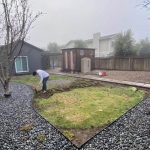 Fake grass project for a backyard in Novato, Marin County, California