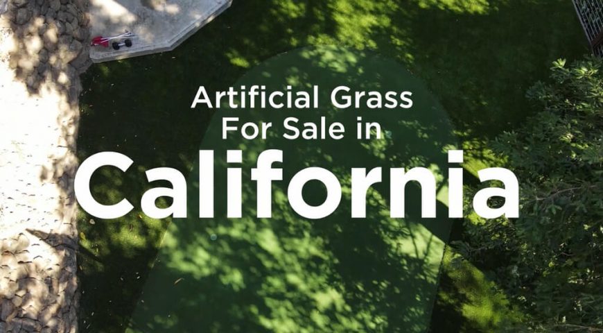 Synthetic Grass 10 years warranty