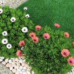Garden Remodeling with Artificial Grass: Choose the Best Option