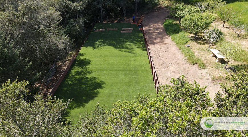 Where Can Artificial Grass Be Installed?