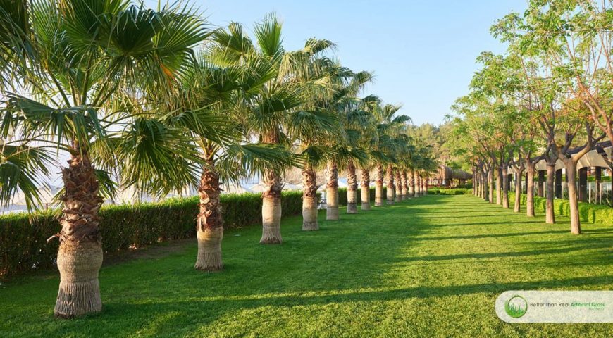 What Is the Return on Investment of Artificial Turf?