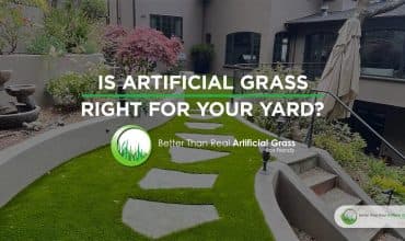 Is Artificial Grass Right for Your Yard?