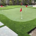 putting green Grass