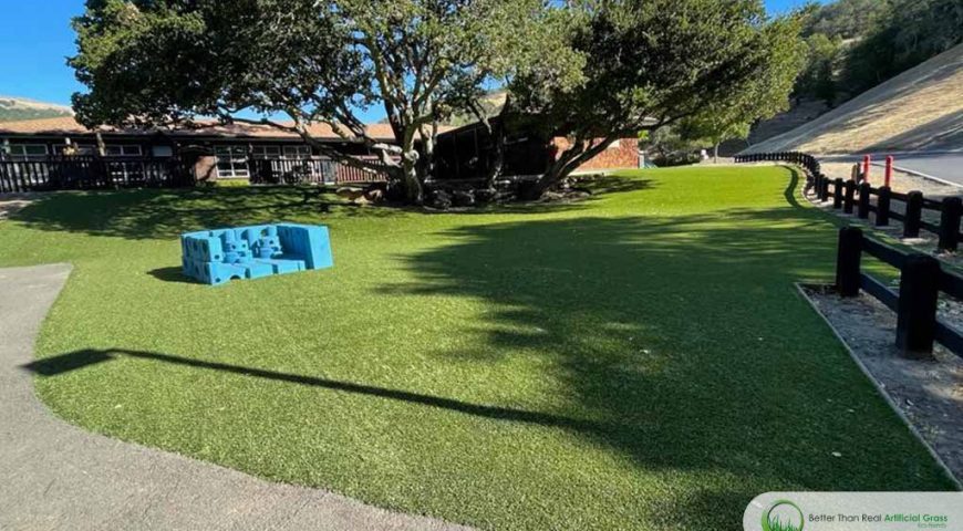 What are the pros and cons of synthetic grass?