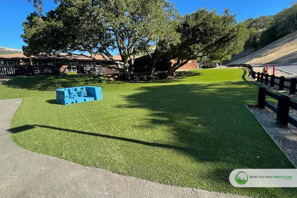 What are the pros and cons of synthetic grass?