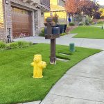 Where to Buy Artificial Grass in San Francisco, Richmond, and Palo Alto