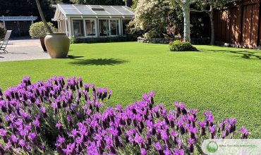 Artificial Grass for Indoor Spaces: Benefits and Design Inspiration