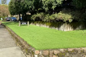 Artificial Grass for Commercial Landscaping