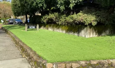 Artificial Grass for Commercial Landscaping: The Benefits and Applications