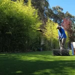 Preserve Your Green Spaces with Expert Artificial Grass Repair Services