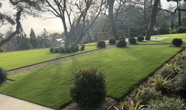 Greening Marin County: Artificial Grass Solutions for a Lush Landscape