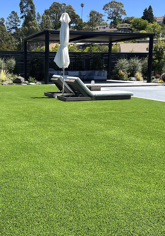 Natural Grass to Artificial Lawn