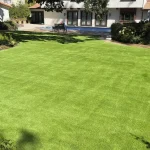 Pet Friendly Artificial Grass.